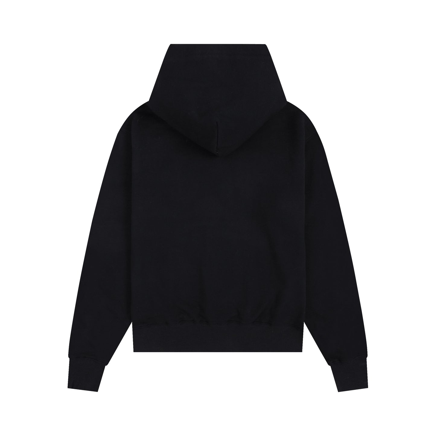 Ami paris Hoodie 306
