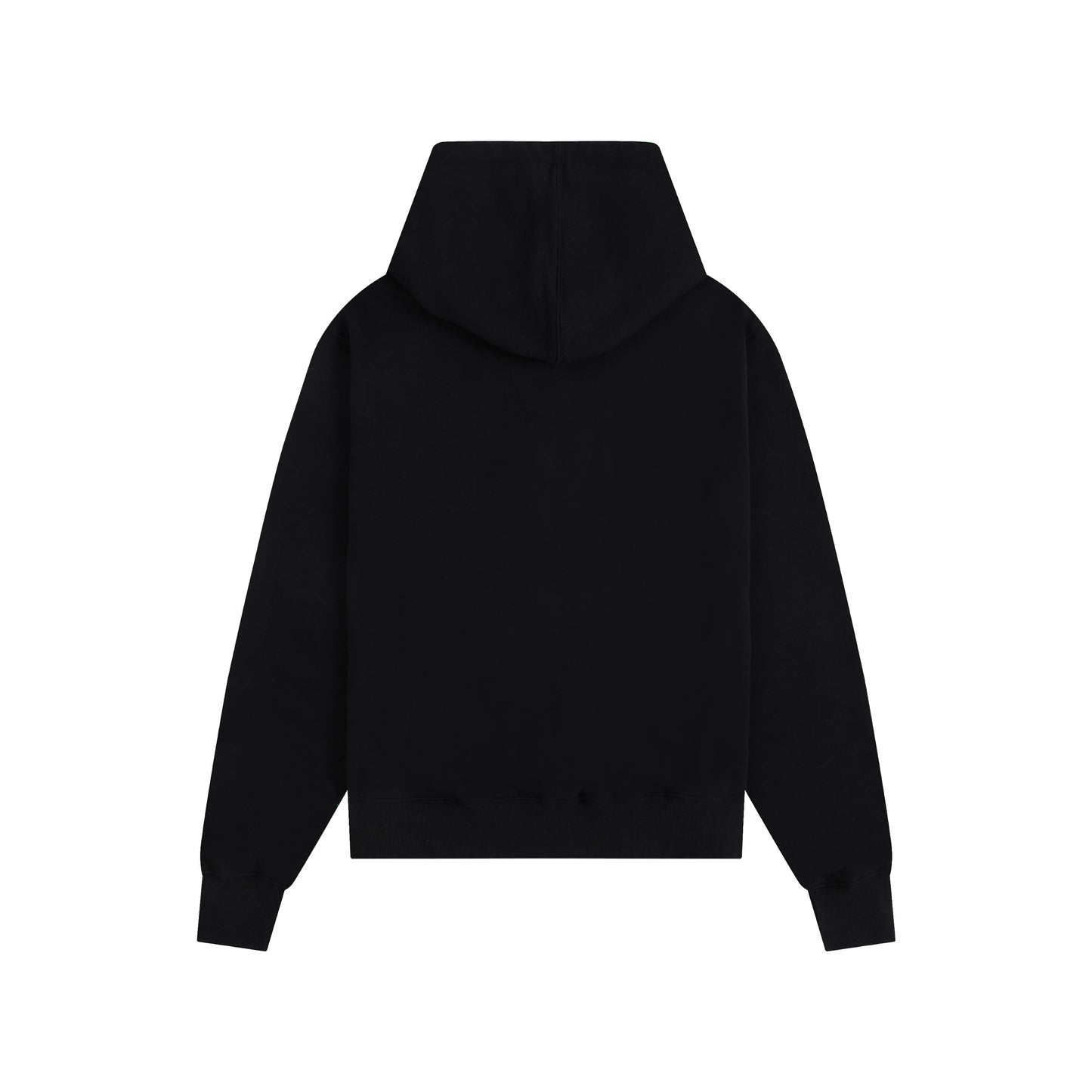 Ami paris Hoodie 403
