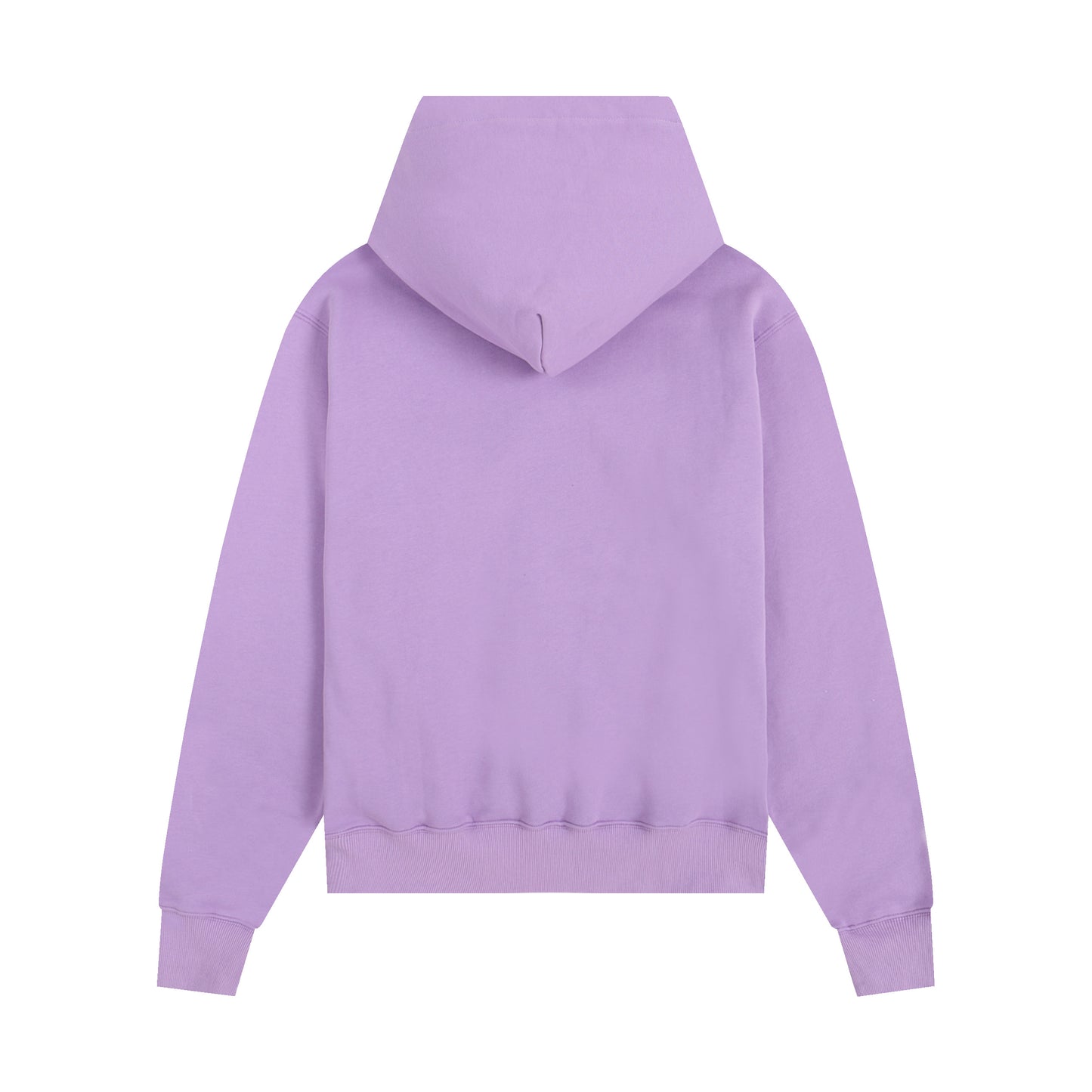Ami paris Hoodie 306