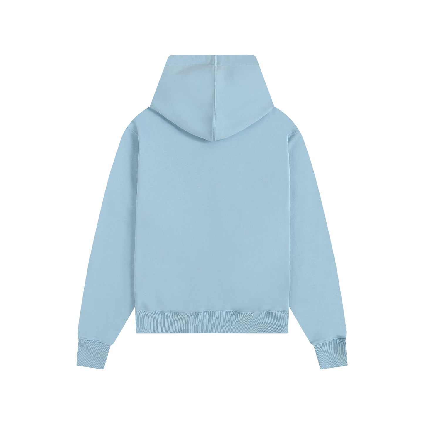 Ami paris Hoodie 403