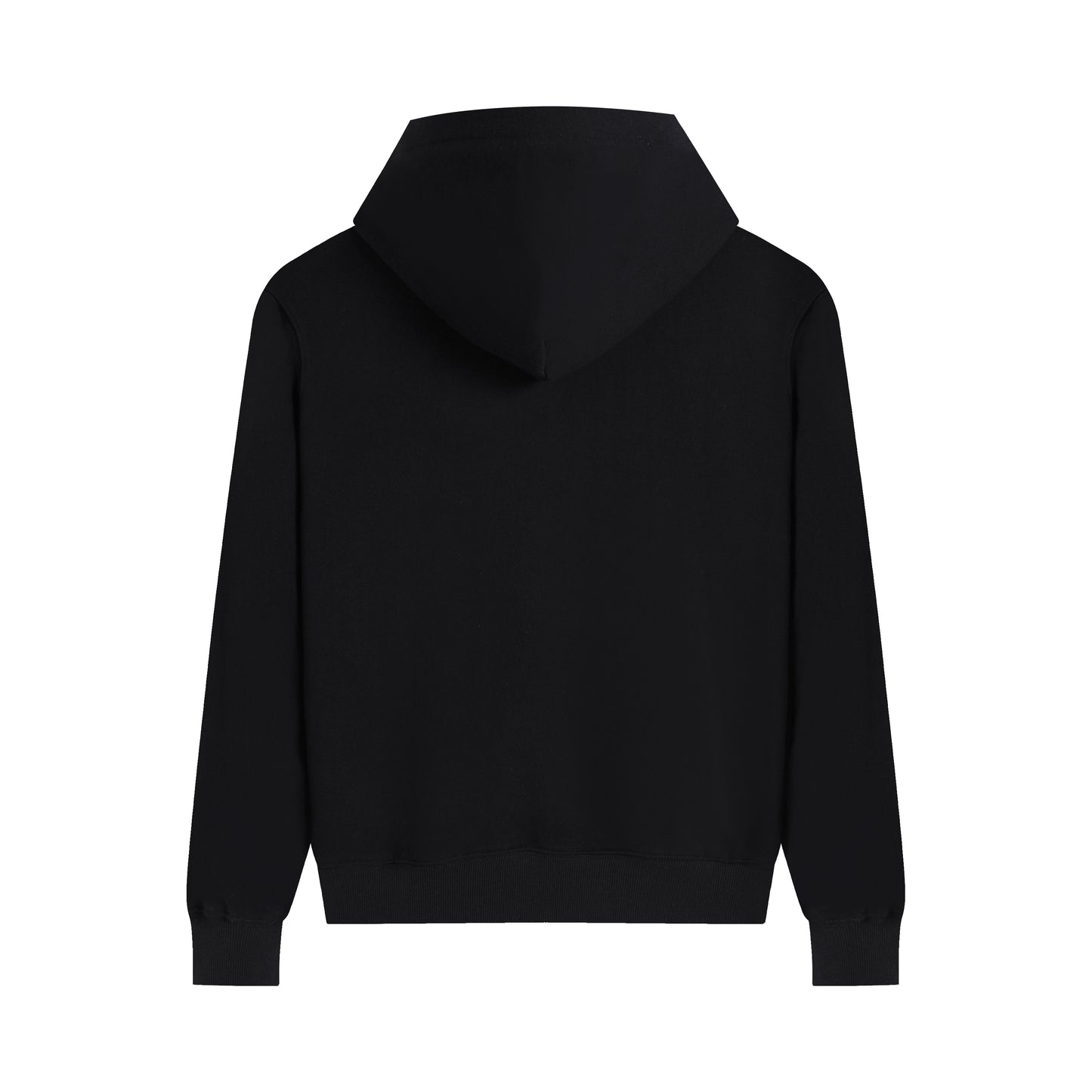 Ami paris Hoodie 313
