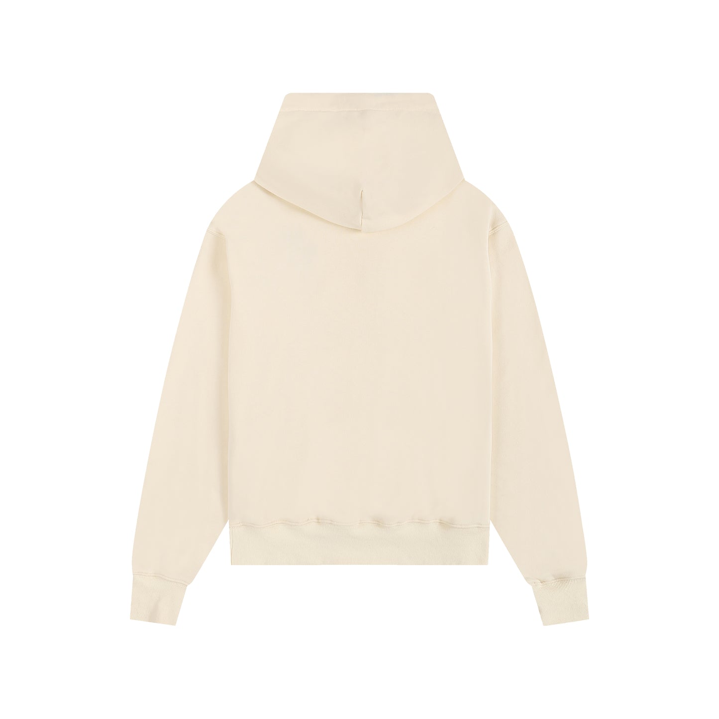 Ami paris Hoodie 306