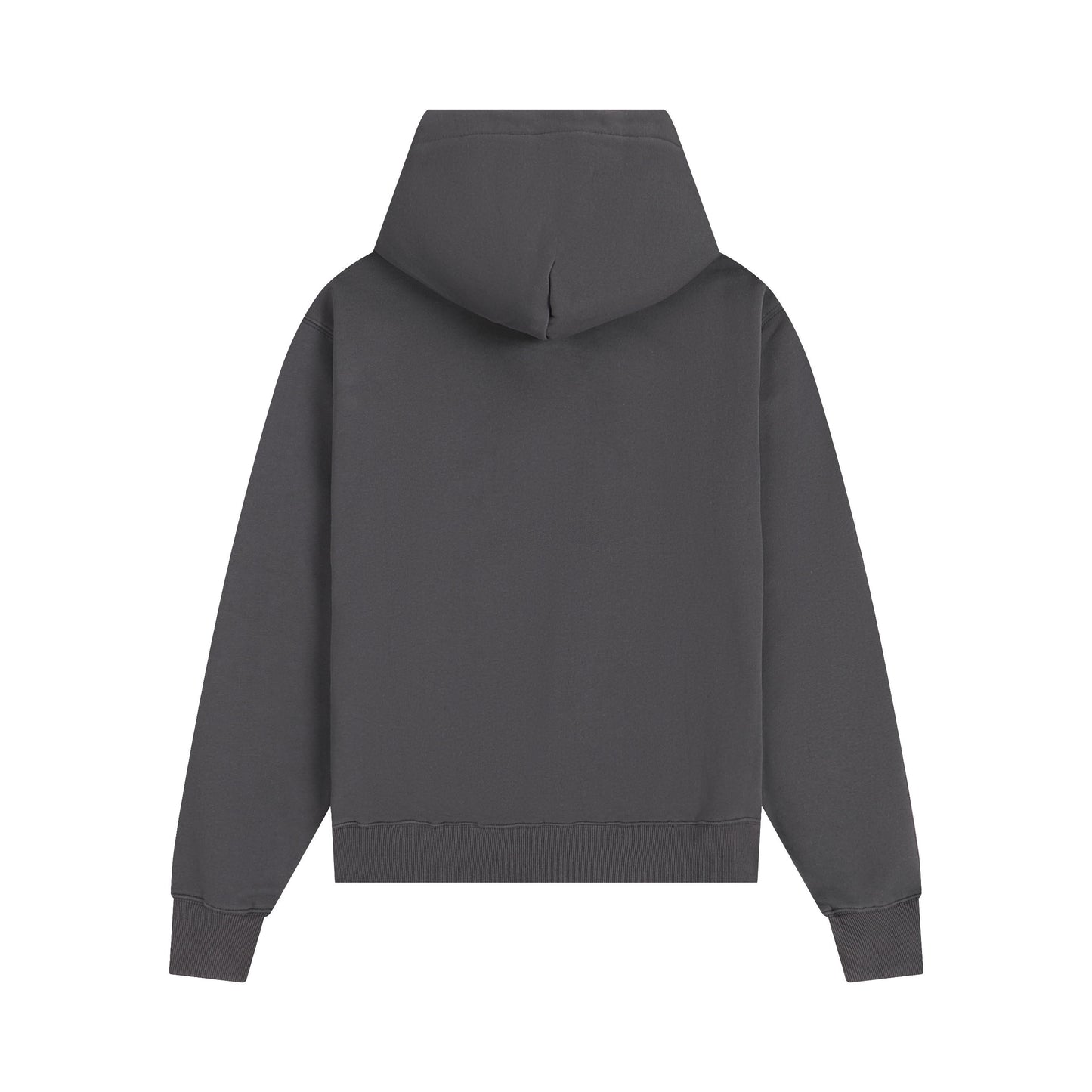 Ami paris Hoodie 302