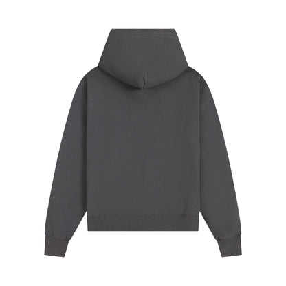 Ami paris Hoodie 302