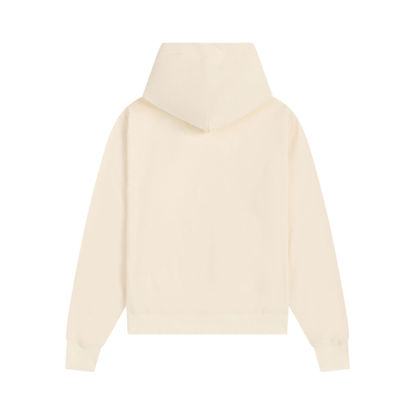 Ami paris Hoodie 302