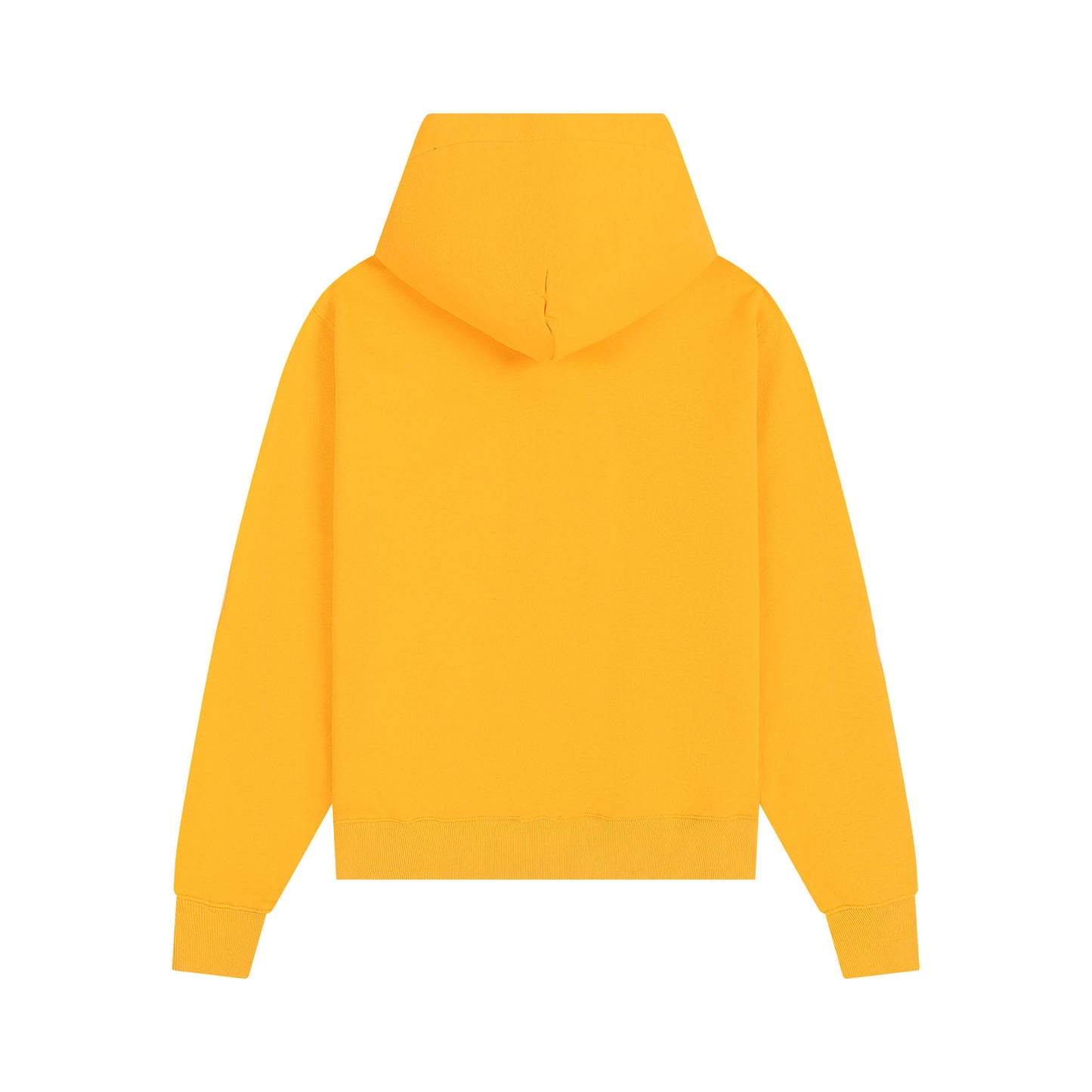 Ami paris Hoodie 302