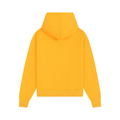 Ami paris Hoodie 302