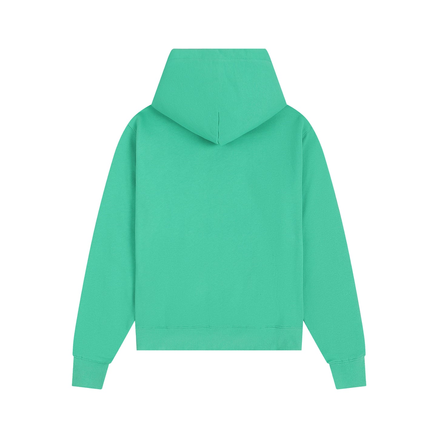 Ami paris Hoodie 302