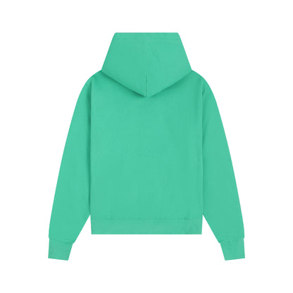 Ami paris Hoodie 302