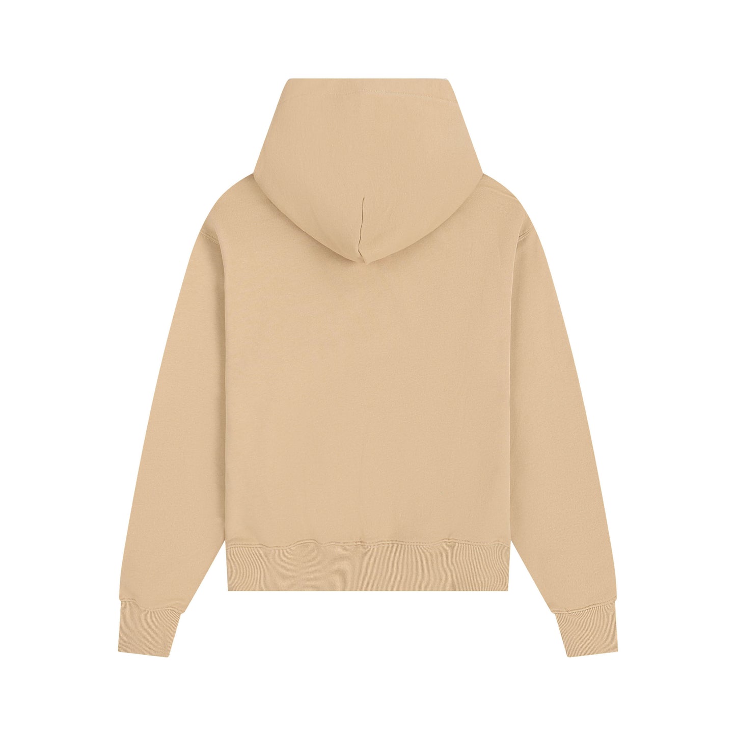 Ami paris Hoodie 306